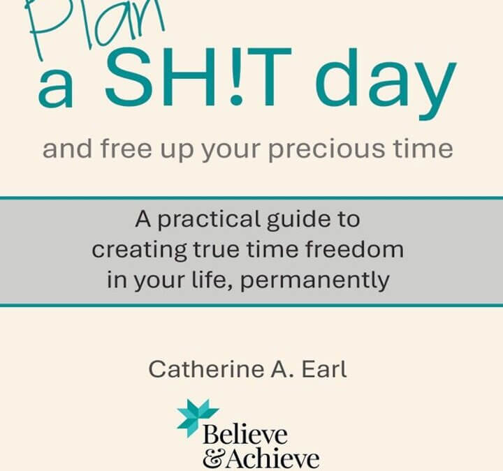 “Plan a Sh!T day”